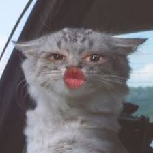 Our site lists all the required options to create a quality logo design. Ppp