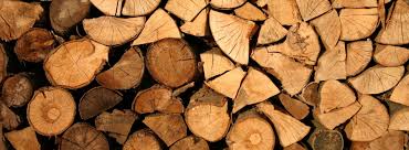Tree dump site for free firewood fire wood logs will pickup too $0 (easton monroe newtown line westport trumbul redding fairfiel) hide this posting restore restore this posting. Firewood Delivery For Sale In Toronto And Gta Tree Doctors Inc