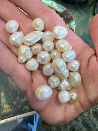 Freshwater Pearl Natural Gemstone - Cast a Stone