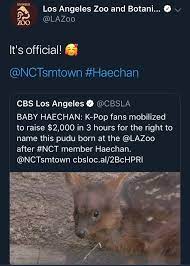 Pin By Win Bert Win Bert On Kpop Stan Twitter Nct Kpop Memes Kpop