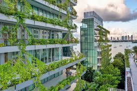 Image result for Monadenium torrei