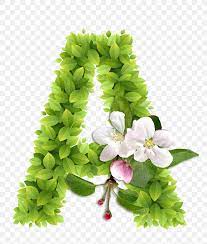 No need to register, buy now! Letter Alphabet Flower Ch Png 756x966px Letter Alphabet Cut Flowers Floral Design Floristry Download Free