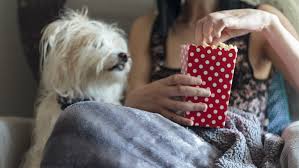 Even though peanut butter is okay for dogs to eat, just like anything you give to your dogs, it should be given to them in moderation. Can Dogs Eat Peanuts And Peanut Butter Purina