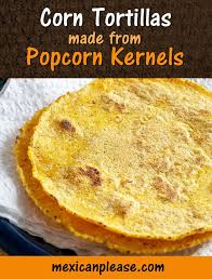 Corn Tortillas Made From Popcorn Kernels Food Processor Recipes Corn Tortillas Yummy Food