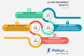 Shyam kumar, you can opt for platinum protect term insurance with dread disese ( critical illness i found: Lic New Endowment Plan 914 Online Reviews Features Benefits