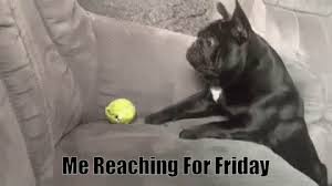 Thursday Funny Meme Gif Page 1 Line 17qq Com Much the same as each day of the week, thursdays ought to be commended in light of the fact that it just methods we're one day closer to the end of the week right? thursday funny meme gif page 1 line