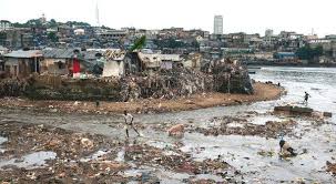 Image result for Schlechterella africana