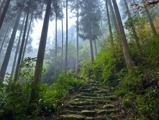 280+ Kumano Kodo Pilgrimage Trail Stock Photos, Pictures & Royalty-Free  Images - iStock