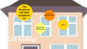 Get your assignment help services from professionals. Cell Analogy House By Sadie Hils On Prezi Next