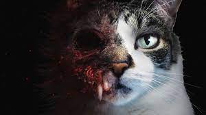 Maybe you would like to learn more about one of these? In This New Horror Game You Are A Cat And Your Name Is Biscuit Pc Gamer