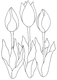Ausmalbilder Tulpen Ausmalbilder In 2020 Floral Drawing Coloring Pages Flower Drawing