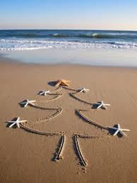 From backyard cricket to lunches by the beach, christmas in australia is undoubtedly special and has its own unique flavour. 70 Christmas In Australia Ideas Christmas In Australia Christmas Aussie Christmas