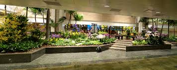 Diğer açık alanlar ve bahçe. 7 Things To Do In Singapore Airport Singapore Expats Guide