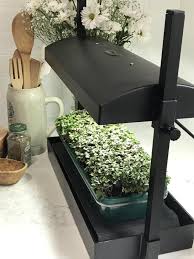 100pcs x 3w leds, 2 cooling fans.featuring a user friendly full spectrum design, you can easily grow your plants in any growth cycle required like germination, seedling, veg. Led Table Top And Self Watering Garden Grow Light Garden Outside The Box