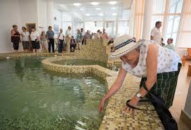 La depunerea cererii pentru acordarea unui bilet de tratament balnear, pensionarul nu mai este obligat să depună copia actului de identitate și talonul de pensie. 61 De Bilete De Tratament Balnear Disponibile La Casa JudeÈ›eanÄƒ De Pensii ArgeÈ™ Universul Argesean