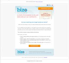Bizo Email Promoting Whitepaper Download Audience Marketing Display Ads Online Learning