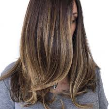 Subtle Brunette Dimension Behindthechair Com Balayage Straight Hair Brown Hair With Highlights Dark Hair With Highlights