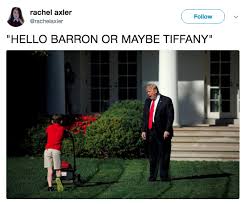 Trump Yelling At Lawn Mowing Boy Know Your Meme