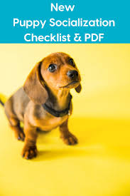 Socialization is all about helping your new puppy grow accustomed to the various sights, smells, and sounds of the world in a positive manner. Puppy Socialization Checklist Pdf Time Frame And Tips For Socializing A New Puppy Puppy Socialization Puppies New Puppy