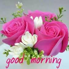 The beautiful good morning images with flowers is the best way to greet your loved ones a great morning. Good Morning Flowers Images 2021 Apps On Google Play