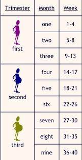 You will be in a better position to notice signs of movement if you have had a baby already. Pin On Baby Ideas
