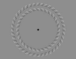 Paper spinner, hologram on your. Puzzles And Brain Teasers Photo Optical Illusion Optical Illusions Illusions Optical Illusion Photos
