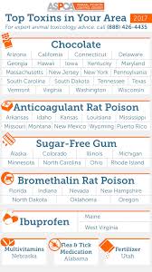 Lists of dog poisonous plants, chemicals, medications, foods, insecticides and more. 60 Pet Safety Poison Control Ideas Pet Safety Your Pet Poison Control
