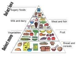 Balanced Diet Diet Chart Know In Details About This