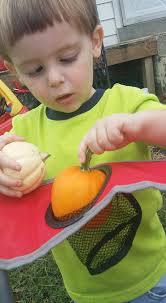 Ethan is going to help Uncle Keith with the Pumpkins!