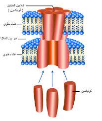 pin by chemistry on الحيوية in 2021 pepper grinder