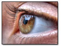 Goz Mucizesi Gozun Kusursuz Tasarimi