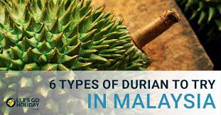 Singapore import durian from malaysia usually and when you walk past a store (not a truckload of durian), without even seeing the durian, you know there is durian somewhere. 6 Types Of Durian You Must Try When Visiting Malaysia And The Durian Season Explained C Letsgoholiday My
