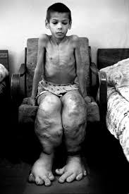 Looking to download safe free latest software now. Chernobyl The History Of Our World