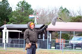 Training Birds of Prey
