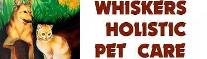 Collection by pure body mind coaching. Whiskers Holistic Petcare Blog Best Resource For Pet Owners