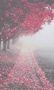 نقدم لكم اليوم كتالوج صور بنات محجبات للتحميل كاصورة لبروفايلك او خلفية لهتافك المحمول وبجوده عالية و صور بنات محجبات عربية ومن المعروف ان البنات العربية تتمتع بجمال عالي وتتميز بحجبها المميز من بين. Ø®Ù„ÙÙŠØ§Øª Ø¨Ù†Ø§Øª 2020 Ù„Ù„Ù‡Ø§ØªÙ Noe Kollman