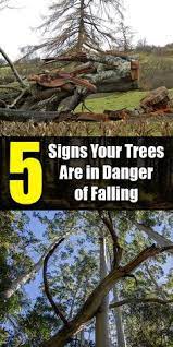 You can also view the menu and order online. 19 Tree Removal Service Ideas Tree Removal Service Tree Removal Tree