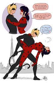 Pin On Miraculous Ladybug Chat Noir