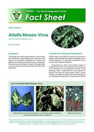 Image result for Alfalfa mosaic virus