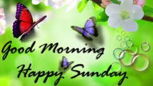 Good morning sunday blessings may the lord keep you in love and peace. Nature Good Morning Happy Sunday Wallpaper Images Pics Download