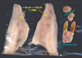 Like filet mignon of fish. North Dakota Quality Of Life North Dakota Game And Fish