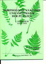 Image result for Odontosoria afra