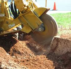 See more of accurate landscaping, inc. Stump Grinding Nh Ma Accurate Tree Service Top Stump Grinding Experts