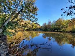 Open market offering for a historically owned forest industry tract of land. Atoka Tennessee Ranches For Sale Ranchflip