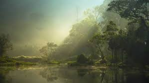 If you have your own one, just send us the image and we will show. Background Laptop Keren 1366x768 Wallpaper Teahub Io