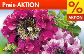 15% auf stauden mit baldur garten gutschein. Chf 5 Baldur Garten Gutschein Und Gutscheincode Schweiz 2021