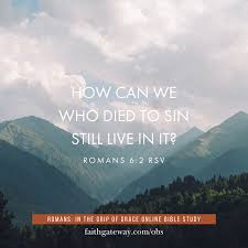 You will see connections with other scriptures made as paul links together threads of truth which are strung. Romans In The Grip Of Grace Online Bible Study Study Gateway Video Bible Studies On Demand
