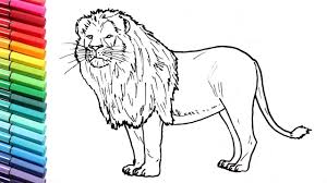 How To Draw A Lion Learning Wild Animals Color Pages For Kids Learni Animals Drawing Images Animal Drawings Wild Animals Drawing