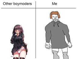 Boymoder memes