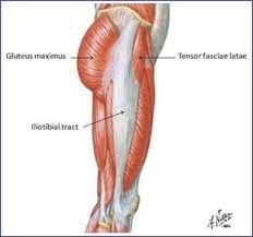 The Best Way To Relieve Your Tensor Fasciae Latae Pain And Make Your Hips And Knees Happy Again Custom Pilates And Yoga
